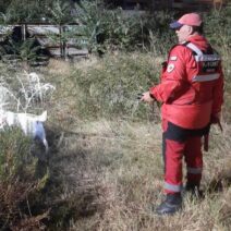 Πάτρα: «Ανοιξε η γη και την κατάπιε» - Απόγνωση για την 81χρονη Γεωργία Κριμπά που αγνοείται επί ημέρες - Η οικογένειά της στο Patrapress 1 Πάτρα: «Ανοιξε η γη και την κατάπιε» - Απόγνωση για την 81χρονη Γεωργία Κριμπά που αγνοείται επί ημέρες - Η οικογένειά της στο Patrapress