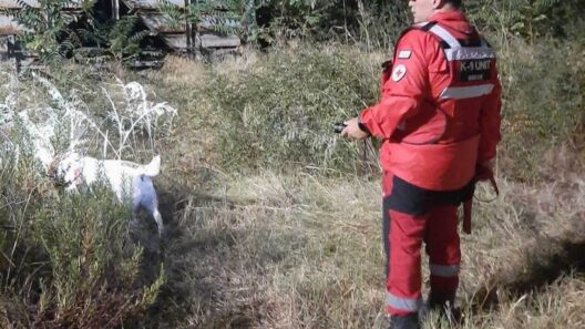 Πάτρα: «Ανοιξε η γη και την κατάπιε» - Απόγνωση για την 81χρονη Γεωργία Κριμπά που αγνοείται επί ημέρες - Η οικογένειά της στο Patrapress