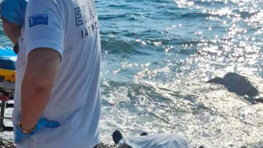 Τερψιθέα: Το Λιμενικό για άνδρα που ανασύρθηκε νεκρός από τη θάλασσα ΦΩΤΟ 14 Τερψιθέα: Το Λιμενικό για άνδρα που ανασύρθηκε νεκρός από τη θάλασσα ΦΩΤΟ