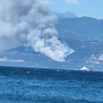 Φωτιά στη Φωκίδα: Οι φλόγες έφτασαν στην Πηγή – Αναφορές για ζημιές σε σπίτια 1 Φωτιά στη Φωκίδα: Οι φλόγες έφτασαν στην Πηγή – Αναφορές για ζημιές σε σπίτια