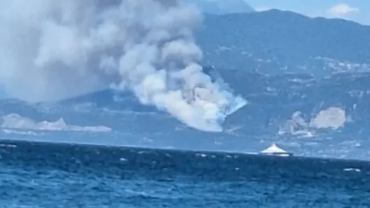 Φωτιά στη Φωκίδα: Οι φλόγες έφτασαν στην Πηγή – Αναφορές για ζημιές σε σπίτια 12 Φωτιά στη Φωκίδα: Οι φλόγες έφτασαν στην Πηγή – Αναφορές για ζημιές σε σπίτια