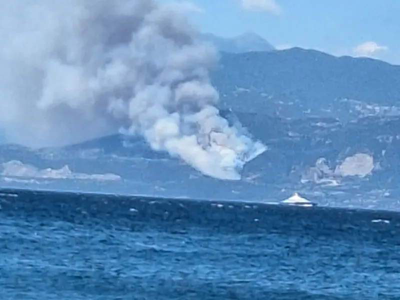 Φωτιά στη Φωκίδα: Οι φλόγες έφτασαν στην Πηγή – Αναφορές για ζημιές σε σπίτια