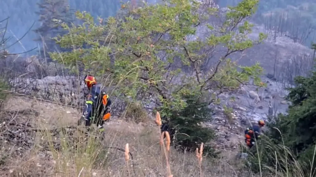Μεσολόγγι: Φωτιά στην περιοχή Λεύκα