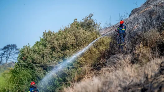 Κουνουπέλι: Εμπρησμό δείχνουν τα πρώτα στοιχεία στην φωτιά κοντά στο δάσος Στροφυλιάς 12 Φωτιά στην Πάτρα