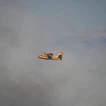 Ηλεία: Φωτιά στο Βαρθολομιό – Σηκώθηκαν εναέρια μέσα, εστάλη «112» 2 Ηλεία: Φωτιά στο Βαρθολομιό – Σηκώθηκαν εναέρια μέσα, εστάλη «112»