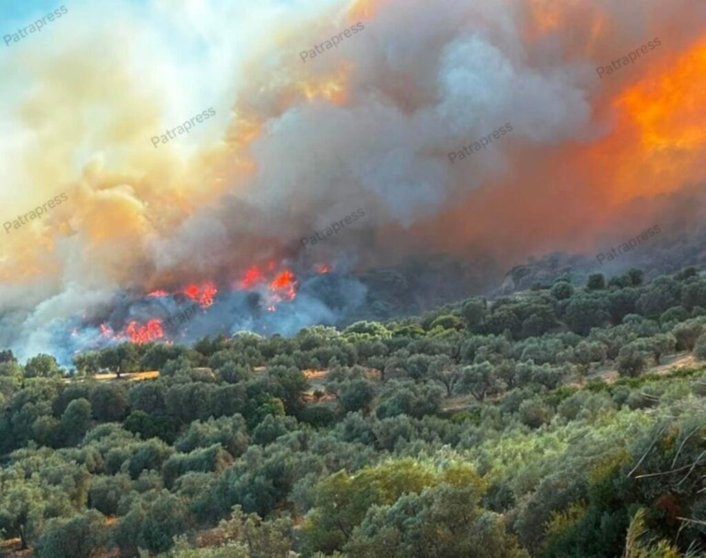 Αχαΐα: Εντολή εκκένωσης της Μυρόβρυσης Αιγιαλείας - Φόβοι να κινηθεί η φωτιά προς την Πάτρα - Ζαΐμης στο Patrapress BINTEO-ΦΩΤΟ