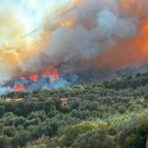 Αχαΐα: Εντολή εκκένωσης της Μυρόβρυσης Αιγιαλείας - Φόβοι να κινηθεί η φωτιά προς την Πάτρα - Ζαΐμης στο Patrapress BINTEO-ΦΩΤΟ 1 Αχαΐα: Εντολή εκκένωσης της Μυρόβρυσης Αιγιαλείας - Φόβοι να κινηθεί η φωτιά προς την Πάτρα - Ζαΐμης στο Patrapress BINTEO-ΦΩΤΟ