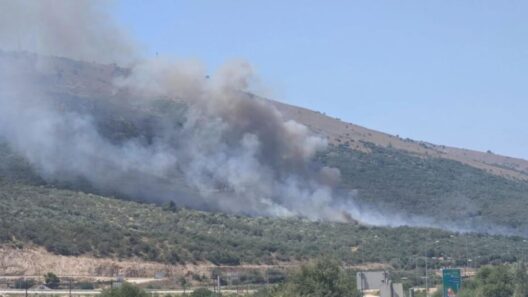 Αιτωλοακαρνανία: Πυρκαγιά στο Στανό Αμφιλοχίας - Σηκώθηκαν εναέρια 14 Αιτωλοακαρνανία: Πυρκαγιά στο Στανό Αμφιλοχίας - Σηκώθηκαν εναέρια