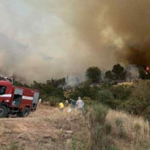 Καλάβρυτα: Φωτιά κοντά σε δασική έκταση