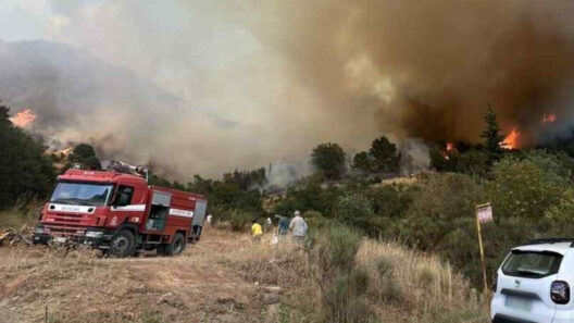 Καλάβρυτα: Φωτιά κοντά σε δασική έκταση