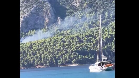 Φωτιά στη Λευκάδα: Επιχειρούν εναέρια μέσα ΒΙΝΤΕΟ - ΝΕΟΤΕΡΑ 14 Φωτιά στη Λευκάδα: Επιχειρούν εναέρια μέσα ΒΙΝΤΕΟ - ΝΕΟΤΕΡΑ