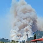 Φωτιά ΤΩΡΑ στο Σκάλωμα Φωκίδας: Εκκενώνονται οικισμοί ΦΩΤΟ - ΒΙΝΤΕΟ