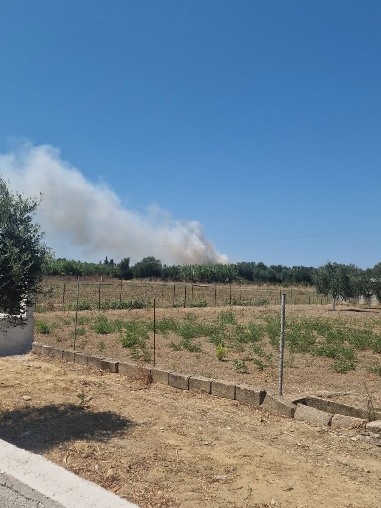 Ηλεία: Οριοθετήθηκε η φωτιά στο Βαρθολομιό – Σηκώθηκαν εναέρια μέσα, εστάλη «112» ΦΩΤΟ - ΝΕΟΤΕΡΑ