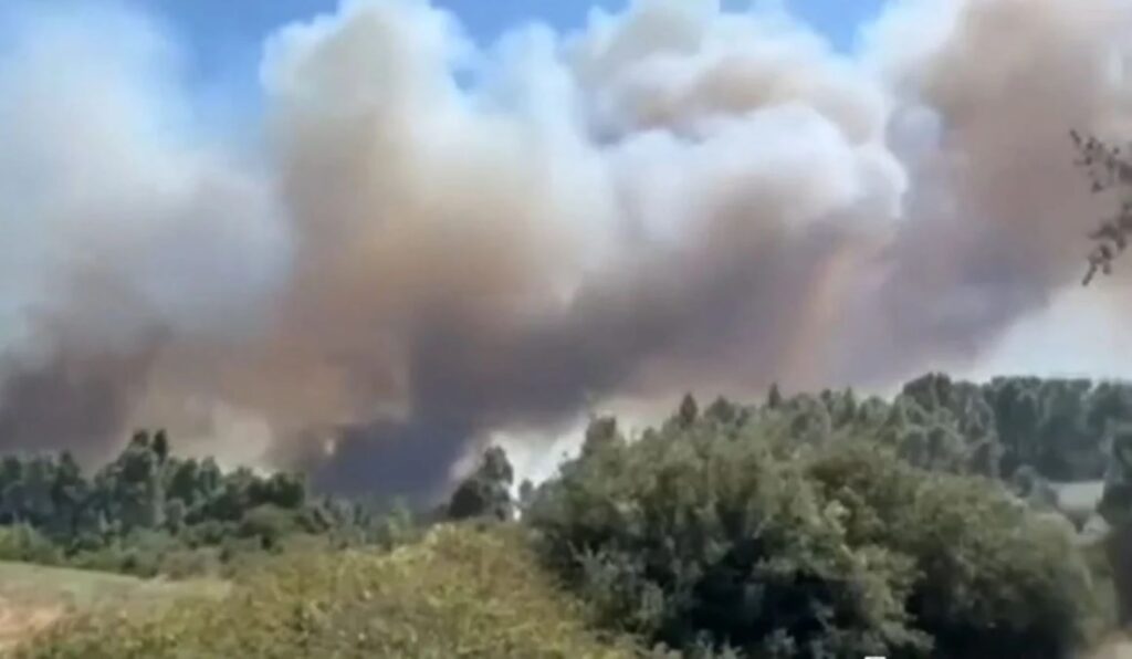 Πυκνός καπνός από φωτιά υψώνεται πάνω από δάσος στη Χαλκιδική.