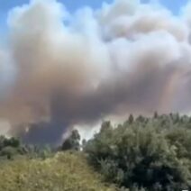 Πυρκαγιά στη Χαλκιδική: Νέο «112» για εκκένωση περιοχών 1 Πυκνός καπνός από φωτιά υψώνεται πάνω από δάσος στη Χαλκιδική.