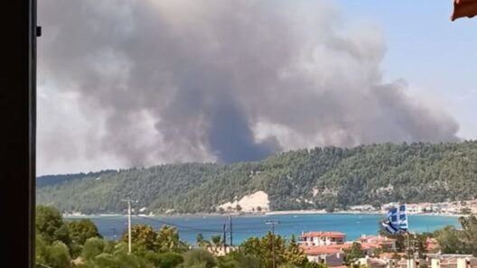 Πυρκαγιά στη Χαλκιδική: Νέο «112» για εκκένωση περιοχών - Δίπλα στα σπίτια οι φλόγες ΦΩΤΟ - ΝΕΟΤΕΡΑ
