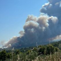 Σαλαμίνα: Φωτιά σε δασική έκταση κοντά σε σπίτια - Μήνυμα από το 112