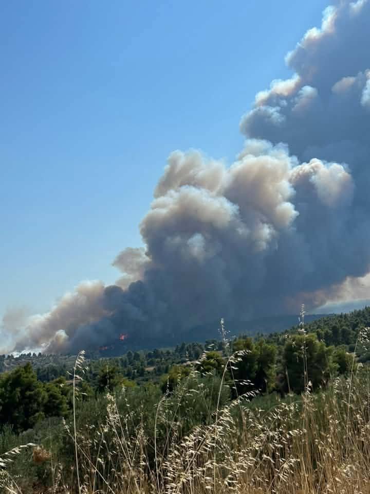 Πυρκαγιά στη Χαλκιδική: Νέο «112» για εκκένωση περιοχών - Δίπλα στα σπίτια οι φλόγες ΦΩΤΟ - ΝΕΟΤΕΡΑ