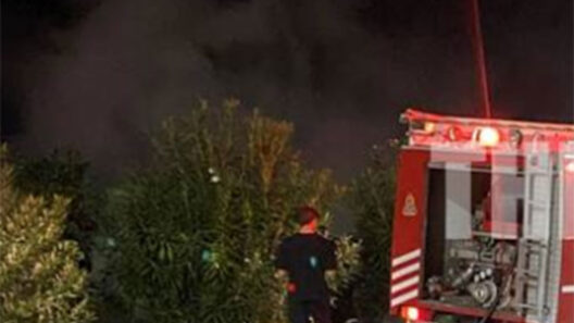 Πυροσβεστικό όχημα και πυροσβέστης σε νυχτερινή επέμβαση για φωτι…