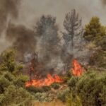 Καιρός: Ερχονται 39άρια και 9 μποφόρ - Συναγερμός για πυρκαγιές - Σε ετοιμότητα η Πολιτική Προστασία