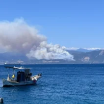 Φωτιές: Η εικόνα σε Φωκίδα, Πόρτο Γερμενό, Φθιώτιδα LIVE 3 Φωτιά σε δασική περιοχή της Φωκίδας.