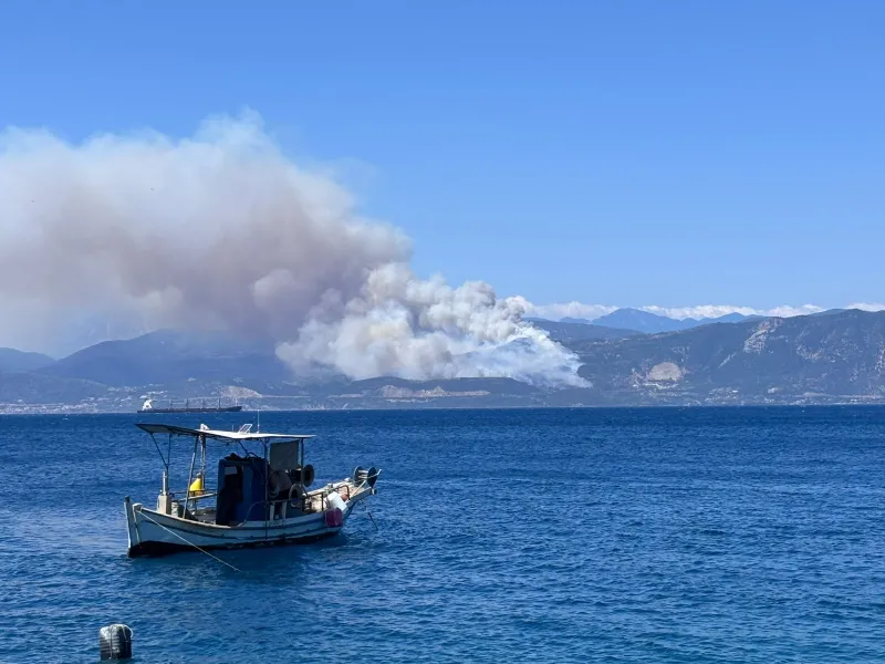Φωτιά σε δασική περιοχή της Φωκίδας.