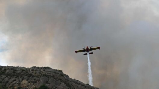 Ηλεία: Μεγάλη φωτιά σε δασική έκταση ΝΕΟΤΕΡΑ ΦΩΤΟ - ΒΙΝΤΕΟ