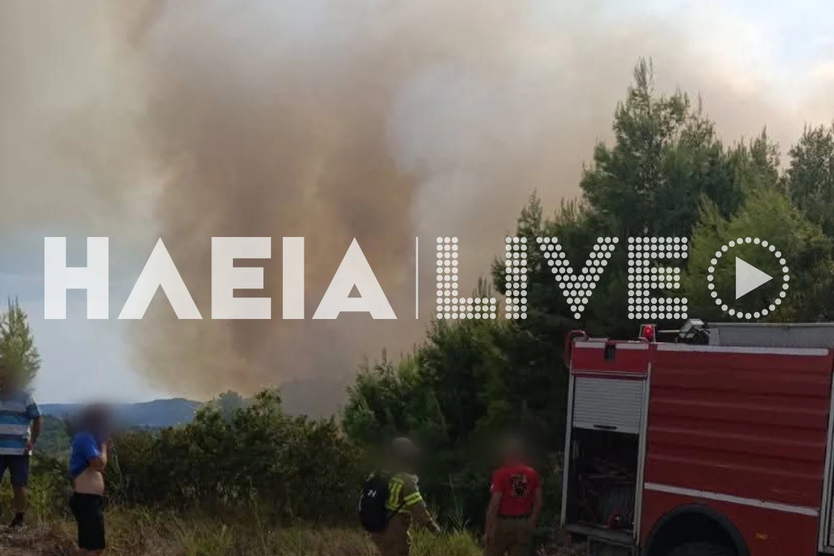 Ηλεία: Μεγάλη φωτιά σε δασική έκταση ΝΕΟΤΕΡΑ ΦΩΤΟ - ΒΙΝΤΕΟ 5 Ηλεία: Μεγάλη φωτιά σε δασική έκταση ΝΕΟΤΕΡΑ ΦΩΤΟ - ΒΙΝΤΕΟ