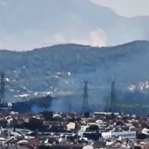 Φωτιά στον Γέρακα δίπλα στην Αττική Οδό