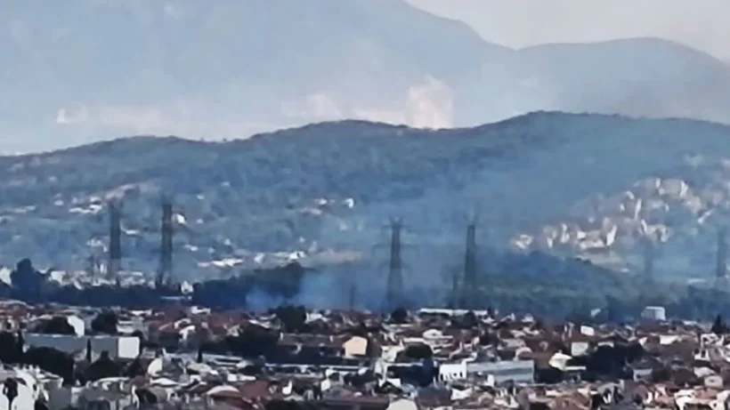 Φωτιά στον Γέρακα δίπλα στην Αττική Οδό