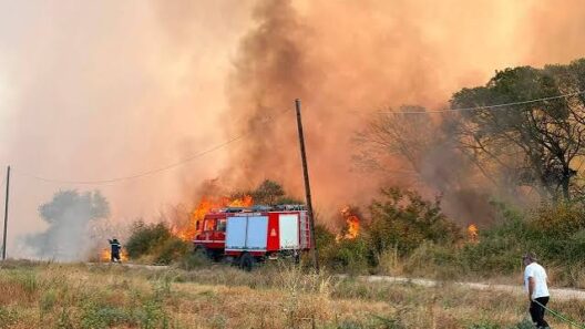 Ελλάδα: Έξι συλλήψεις για φωτιές σε Ηλεία, Έβρο, Αττική, Χίο, Θεσπρωτία, Φωκίδα 14 Συλλήψεις για φώτιση σε Ελλάδα