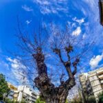 Αχαΐα: Γενικά αίθριος καιρός με υψηλές θερμοκρασίες σήμερα Πέμπτη