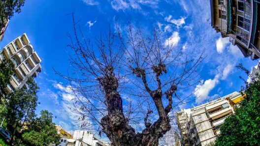 Αχαΐα: Γενικά αίθριος καιρός με υψηλές θερμοκρασίες σήμερα Πέμπτη