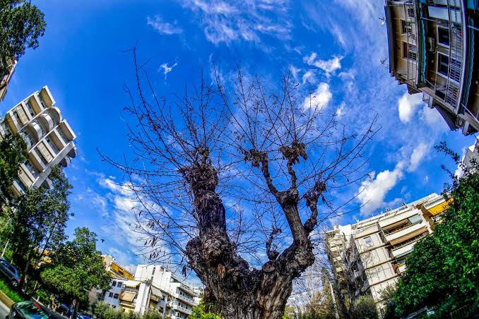 Αχαΐα: Γενικά αίθριος καιρός με υψηλές θερμοκρασίες σήμερα Πέμπτη