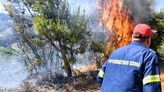 Επικίνδυνο καιρό για φωτιά