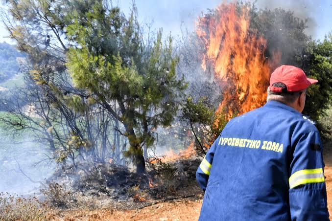 Επικίνδυνο καιρό για φωτιά