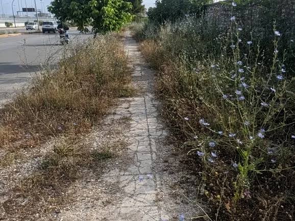 Πάτρα: Αδιαπέραστο πεζοδρόμιο από ΚΤΕΛ έως Μαρίνα για περιπατητές και ταξιδιώτες ΦΩΤΟ 6 Πάτρα: Αδιαπέραστο πεζοδρόμιο από ΚΤΕΛ έως Μαρίνα για περιπατητές και ταξιδιώτες ΦΩΤΟ