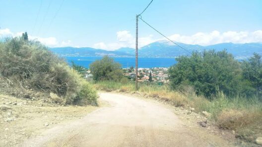 Δρέπανο: Καθαρισμός, καλλωπισμός και νέος φωτισμός LED ενόψει Δεκαπενταύγουστου 13 Λαμπτήρες LED