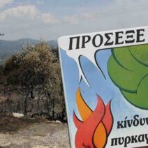Αχαΐα: Πολύ υψηλός κίνδυνος πυρκαγιάς - Σε επιφυλακή η Περιφέρεια 1 Αχαΐα: Πολύ υψηλός κίνδυνος πυρκαγιάς - Σε επιφυλακή η Περιφέρεια