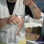 Ροδιά: Ψαρεύουν και...καθαρίζουν τα ψάρια στα παγκάκια της παραλίας - «Πονοκέφαλος» για την Κοινότητα