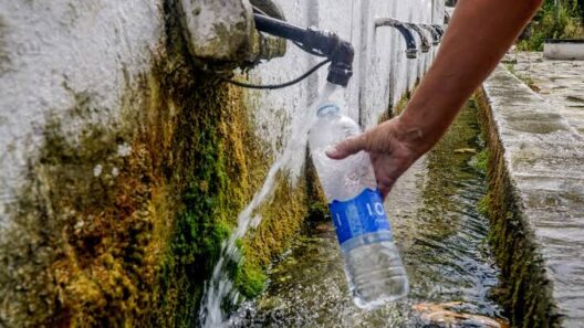 Πέτα: Δύο μέρες χωρίς νερό εν μέσω καύσωνα και οργής κατά του Δήμου