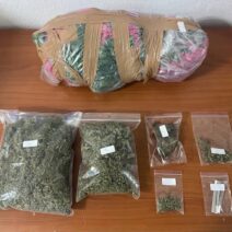 Ήλιδα: Πιάστηκε για καλλιέργεια και κατοχή ναρκωτικών 1 Φωτογραφία της Έλιδα κατά τη σύλληψη για καλλιέργεια και κατοχή να…