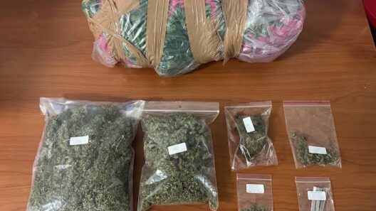 Ήλιδα: Πιάστηκε για καλλιέργεια και κατοχή ναρκωτικών 12 Φωτογραφία της Έλιδα κατά τη σύλληψη για καλλιέργεια και κατοχή να…