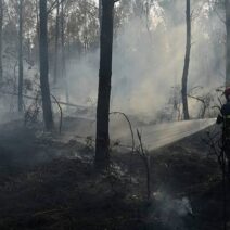 LIVE - Η μάχη με τις φωτιές σε όλη την Ελλάδα 1 Ζωντανή μετάδοση ποδοσφαίρου