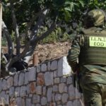 Αρχαία Ολυμπία: Βομβίδα σε αυλή οικίας