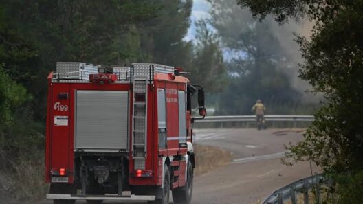 Αιτωλοακαρνανία: Η εικόνα της πυρκαγιάς σε Δρυμώνα και Κοσκινά 12 Πυρκαγιά σε Δρυμώνα και Κωσκινα