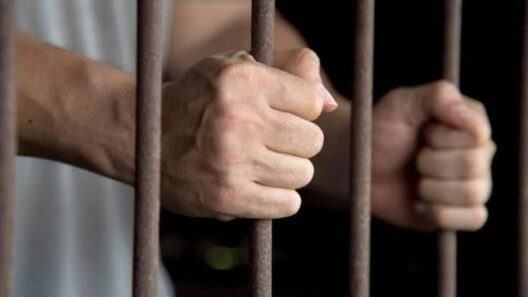 Πάτρα: Κυκλοφορούσε ελεύθερος με ποινή φυλάκισης για τον μισό ποινικό κώδικα 13 Πάτρα: Κυκλοφορίες ελεύθερες με ποινική δίωξη για τον μισό ποινικό…