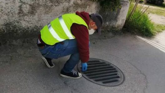 Πάτρα τρωκτικά στην «Παναχαϊκής»