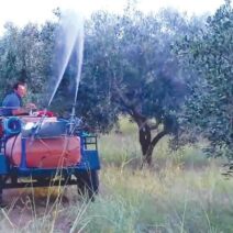 Δημοτική εκλογική κάλπηση στην Πάτρα, Αχαΐας