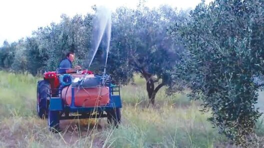 Δημοτική εκλογική κάλπηση στην Πάτρα, Αχαΐας